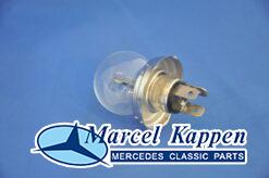 Lamp duplo koplamp 45/40w 12v